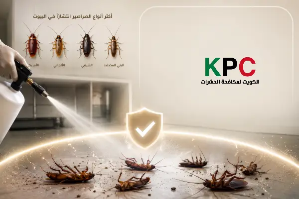 مكافحة الصراصير,مكافحة الصراصير بالكويت,شركة رش صراصير