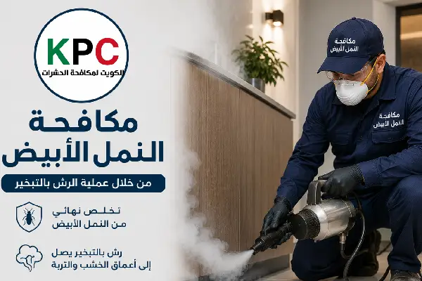 مكافحة حشرات مبارك الكبير,رش حشرات مبارك الكبير,شركة مكافحة حشرات مبارك الكبير