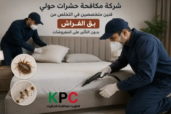 مكافحة القوارض والحشرات حولي