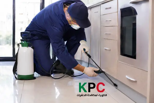 مكافحة حشرات الفحيحيل,رش الحشرات شمال الفحيحيل,رش حشرات الفحيحيل