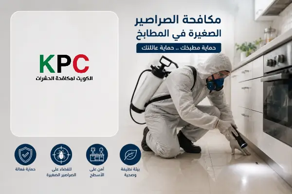 مكافحة الصراصير,مكافحة الصراصير بالكويت,شركة رش صراصير