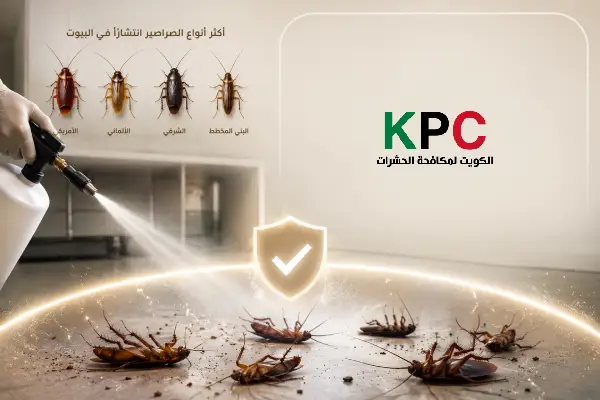 مكافحة الصراصير,مكافحة الصراصير بالكويت,شركة رش صراصير