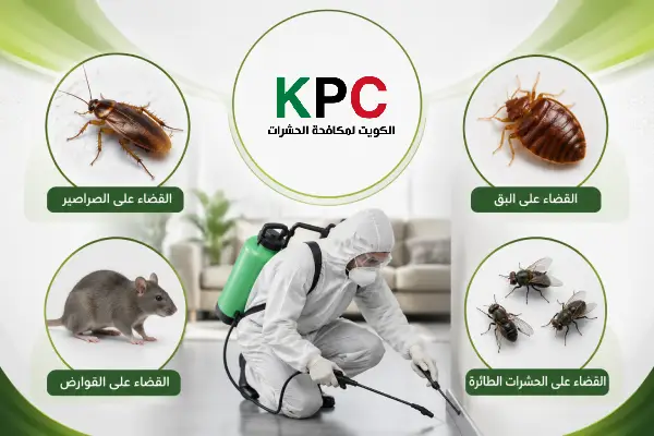 مكافحة حشرات الفروانية,رقم مكافحة القوارض الفروانية,أرقام رش البق الفروانية