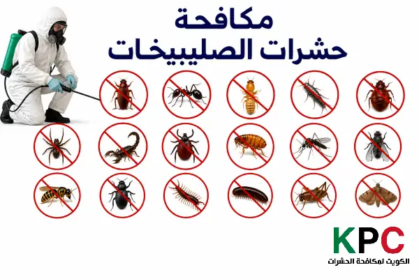 مكافحة حشرات الصليبخات,مكافحة قوارض الصليبخات,مبيدات حشرات وقوارض شمال الصليبخات
