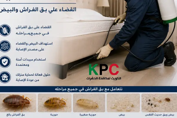 مكافحة حشرات الاحمدي,قوارض الاحمدي,أرقام شركات حشرات الاحمدي

