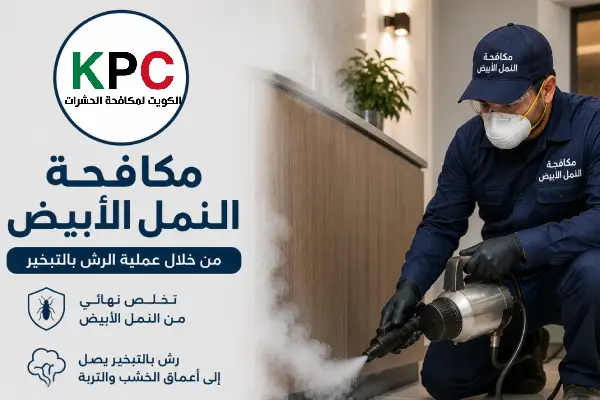 مكافحة حشرات مبارك الكبير,رش حشرات مبارك الكبير,شركة مكافحة حشرات مبارك الكبير
