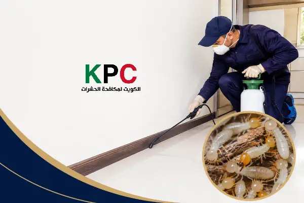 مكافحة النمل الابيض,مكافحة النمل الابيض بالكويت,شركات مكافحة النمل الابيض