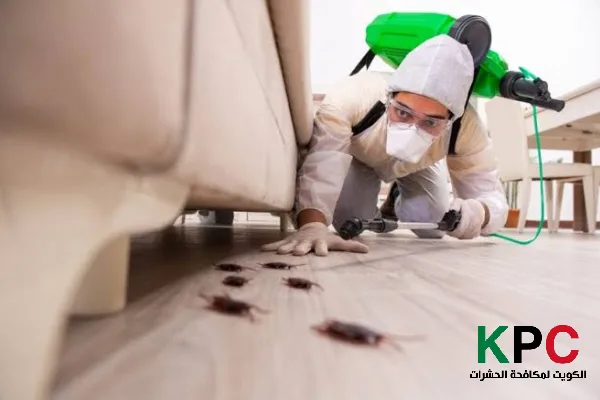 مكافحة حشرات بيان, افضل شركة مكافحة حشرات بيان, رش حشرات بيان