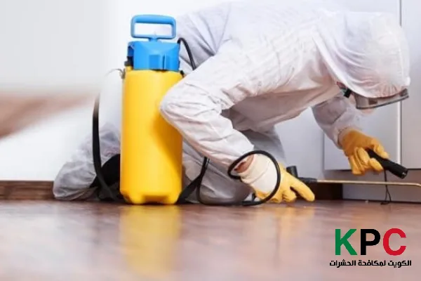 مكافحة حشرات بيان, افضل شركة مكافحة حشرات بيان, رش حشرات بيان