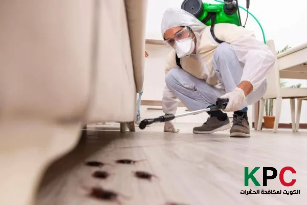 شركة حشرات صباح الناصر, رقم شركة رش الحشرات صباح الناصر, مكافحه حشرات صباح الناصر