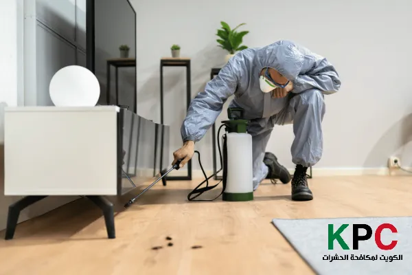 مكافحة حشرات صباح الناصر, شركة حشرات صباح الناصر, رقم شركة رش الحشرات صباح الناصر